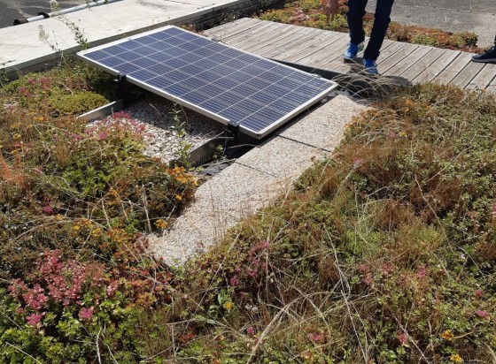 découvrez comment maximiser le rendement de vos panneaux photovoltaïques grâce à l'utilisation de l'eau de pluie. apprenez les meilleures pratiques pour optimiser votre installation et profiter d'une énergie renouvelable efficace et durable.