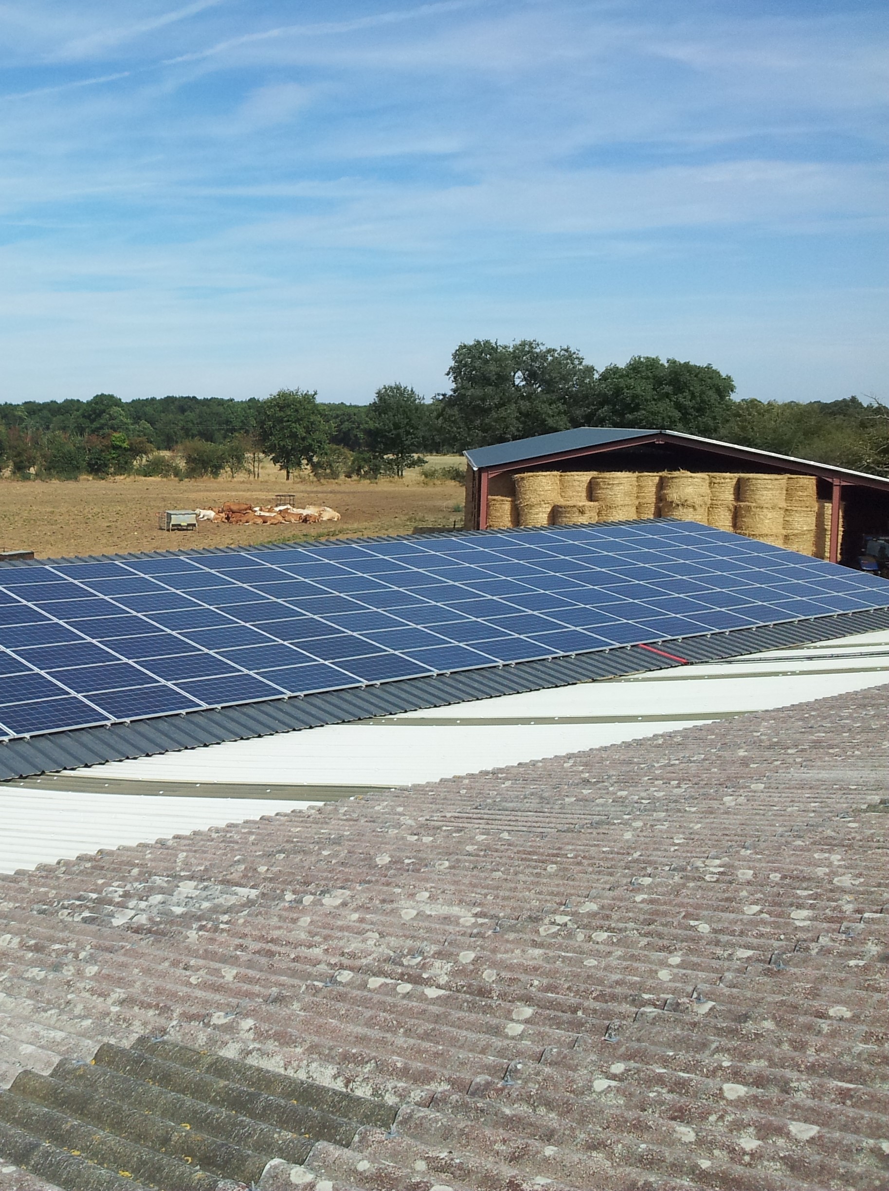 découvrez le code ape dédié aux activités photovoltaïques et son importance pour les entreprises du secteur de l'énergie renouvelable. informez-vous sur les réglementations, les opportunités et les avantages de ce code crucial.