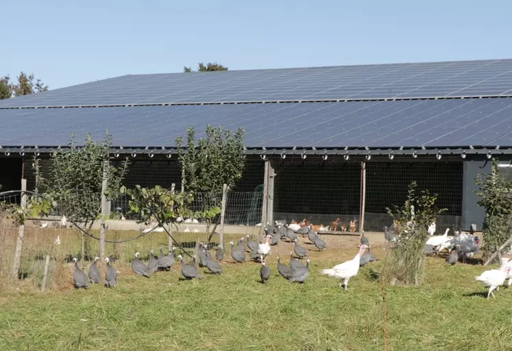 découvrez comment réussir dans le secteur du photovoltaïque grâce à nos conseils pratiques, guides d'installation, et stratégies d'optimisation. transformez votre passion pour l'énergie solaire en succès durable et engagez-vous dans une transition énergétique responsable.