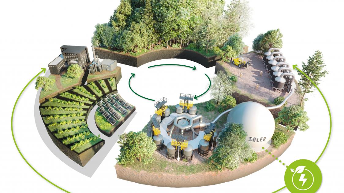 découvrez comment terrasola allie performance et durabilité dans ses produits, offrant des solutions innovantes et écologiques pour un avenir meilleur.