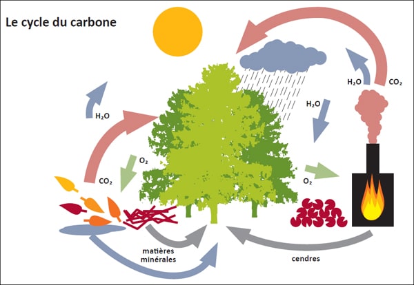 découvrez comment intégrer l'énergie propre dans votre mode de vie quotidien. adoptez des pratiques durables et respectueuses de l'environnement pour réduire votre empreinte carbone tout en améliorant votre qualité de vie.