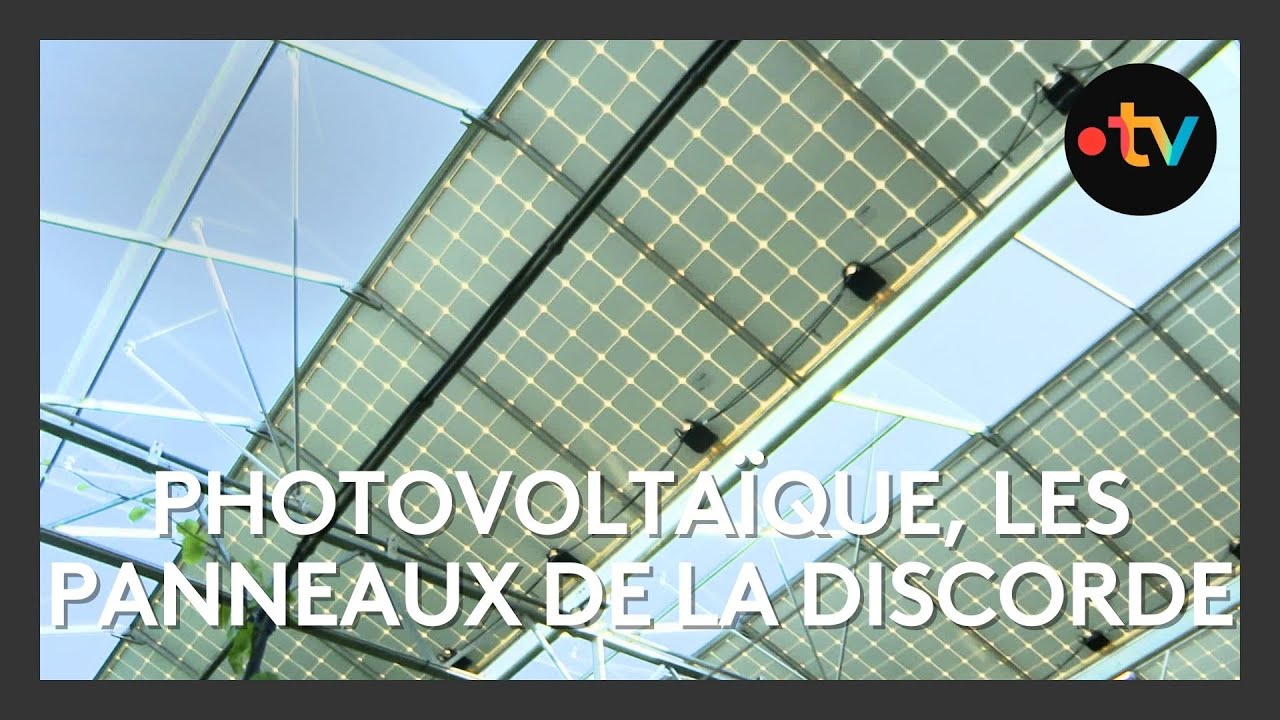 découvrez les avantages des panneaux photovoltaïques en nouvelle-aquitaine : énergie renouvelable, économies sur vos factures d'électricité et contribution à un avenir durable. informez-vous sur les installations, les aides et les meilleures pratiques pour profiter pleinement de l'énergie solaire dans cette région dynamique.