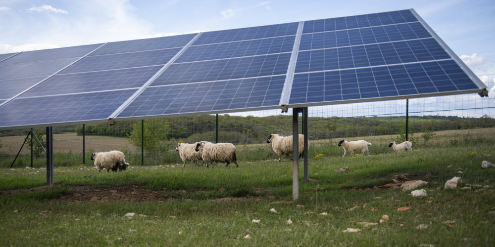 découvrez comment l'économie de l'électricité solaire transforme le paysage énergétique. profitez d'astuces pratiques pour optimiser votre consommation et réduire vos factures d'électricité tout en contribuant à un avenir durable.