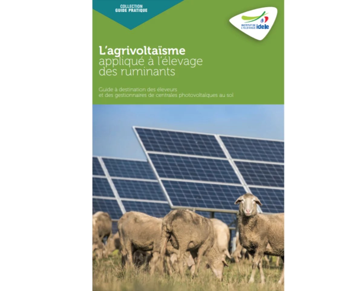 découvrez notre guide photovoltaïque en pdf, conçu pour vous fournir des informations complètes sur l'énergie solaire, les types de panneaux, l'installation, et les avantages fiscaux. idéal pour les débutants et les experts souhaitant optimiser leur transition énergétique.