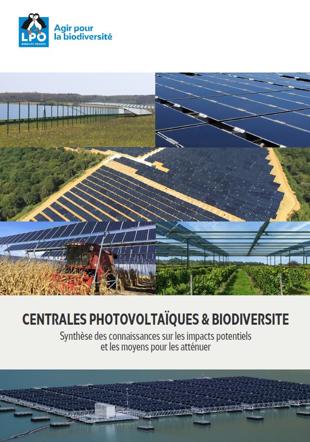 découvrez l'impact du photovoltaïque sur l'environnement et l'économie. apprenez comment l'énergie solaire contribue à la transition énergétique, réduit les émissions de co2 et favorise le développement durable.