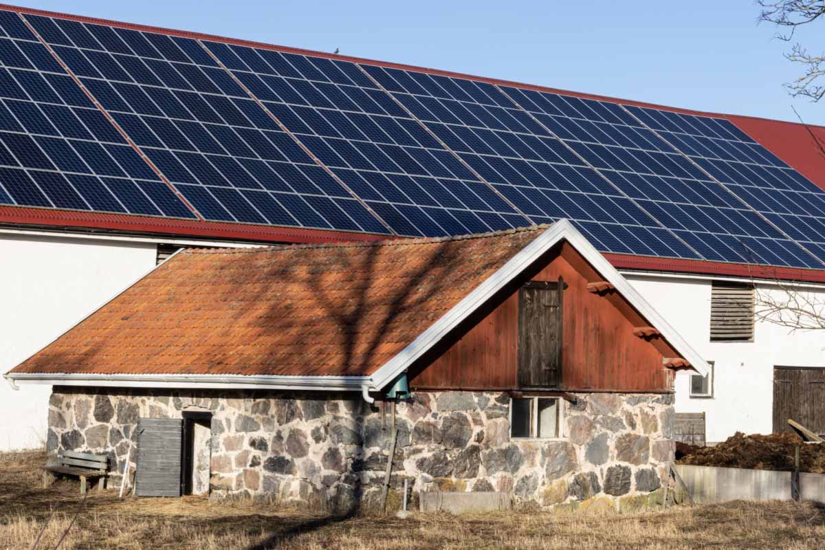 découvrez comment les panneaux photovoltaïques peuvent générer des économies significatives sur vos factures d'électricité. investissez dans une solution écologique et rentable pour un avenir durable. profitez d'énergies renouvelables et d'incitations financières dès maintenant!