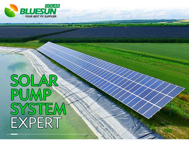 découvrez comment l'énergie photovoltaïque peut révolutionner l'irrigation agricole grâce à des solutions durables et efficaces. optimisez votre utilisation de l'eau tout en réduisant vos coûts énergétiques avec des systèmes innovants de pompage à énergie solaire.