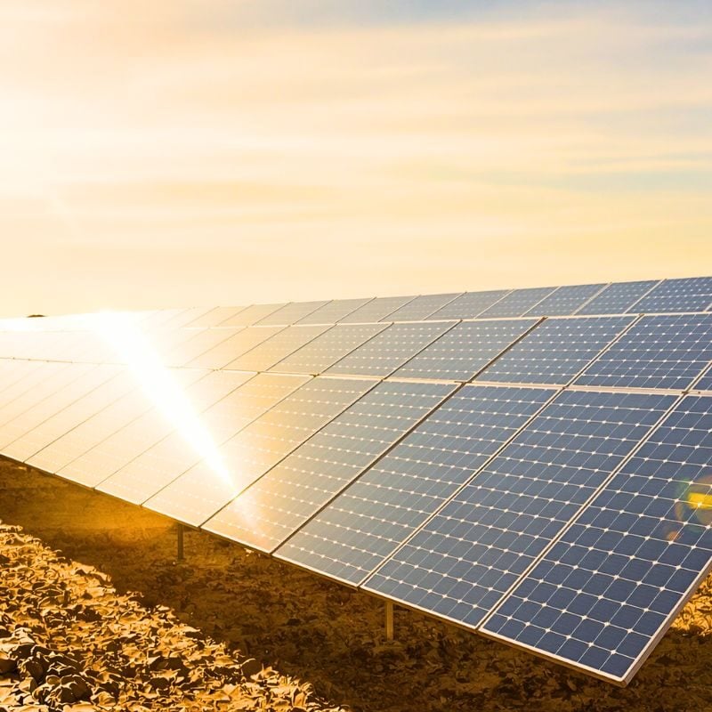 découvrez comment l'énergie solaire influence la biodiversité et contribue à la protection de nos écosystèmes. explorez les avantages environnementaux et les solutions durables offertes par les technologies solaires.
