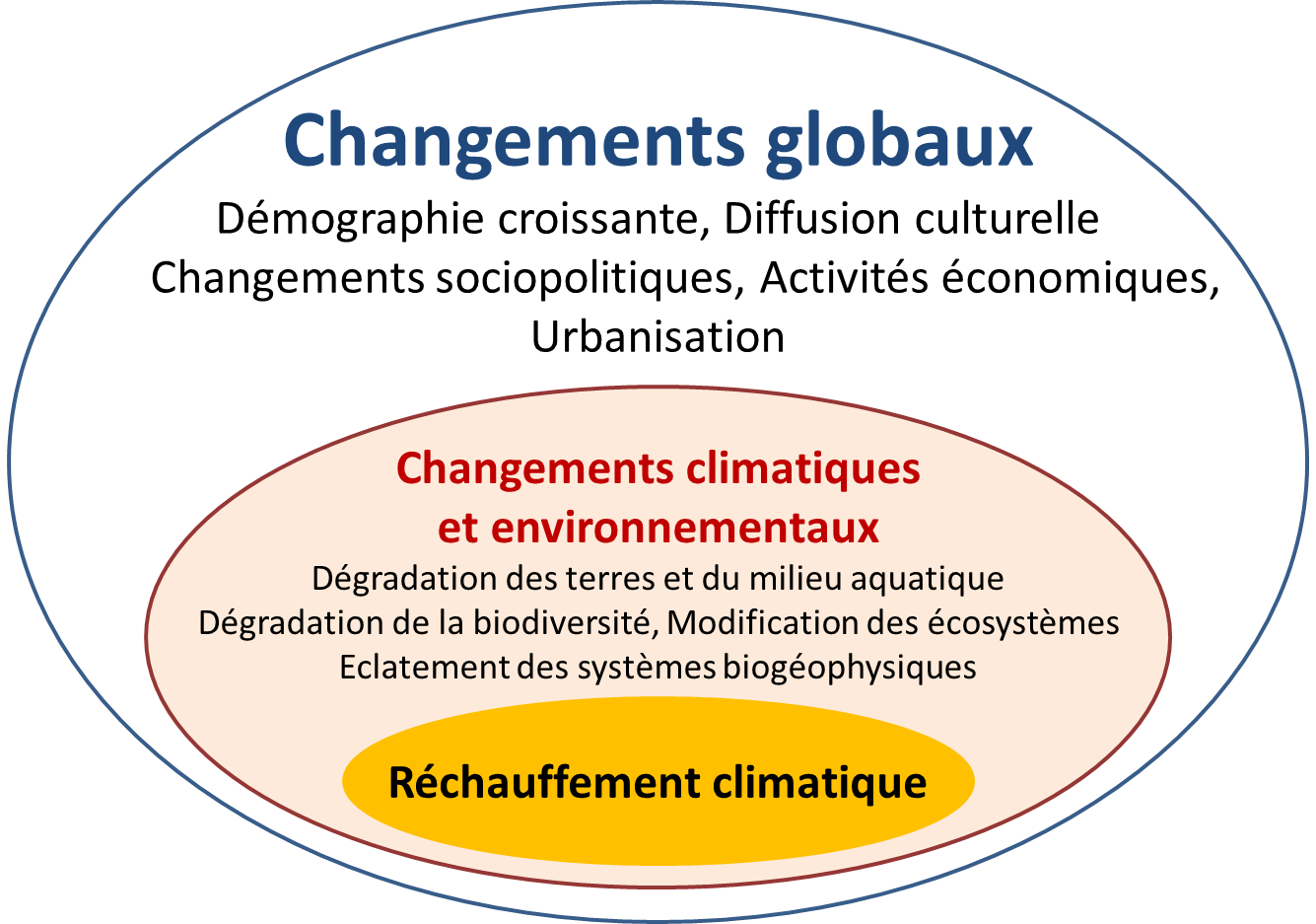 découvrez l'impact du changement climatique sur la biodiversité à travers des études et des données récentes. comprenez comment la dégradation des écosystèmes affecte la flore et la faune, et explorez les solutions durables pour préserver notre planète.