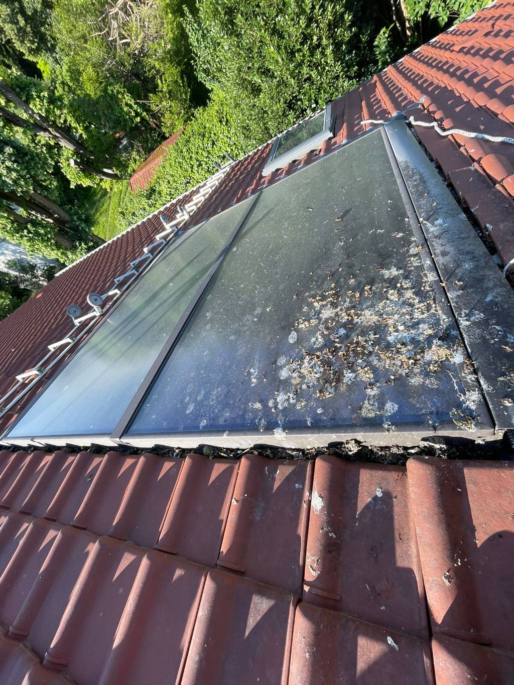découvrez les panneaux solaires viessmann, une solution écologique et performante pour réduire votre consommation d'énergie et faire des économies. profitez de technologies innovantes pour un avenir durable.