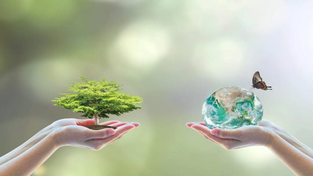 découvrez l'importance de la sensibilisation écologique pour protéger notre planète. apprenez comment adopter des comportements durables et participez à des initiatives locales pour préserver l'environnement pour les générations futures.