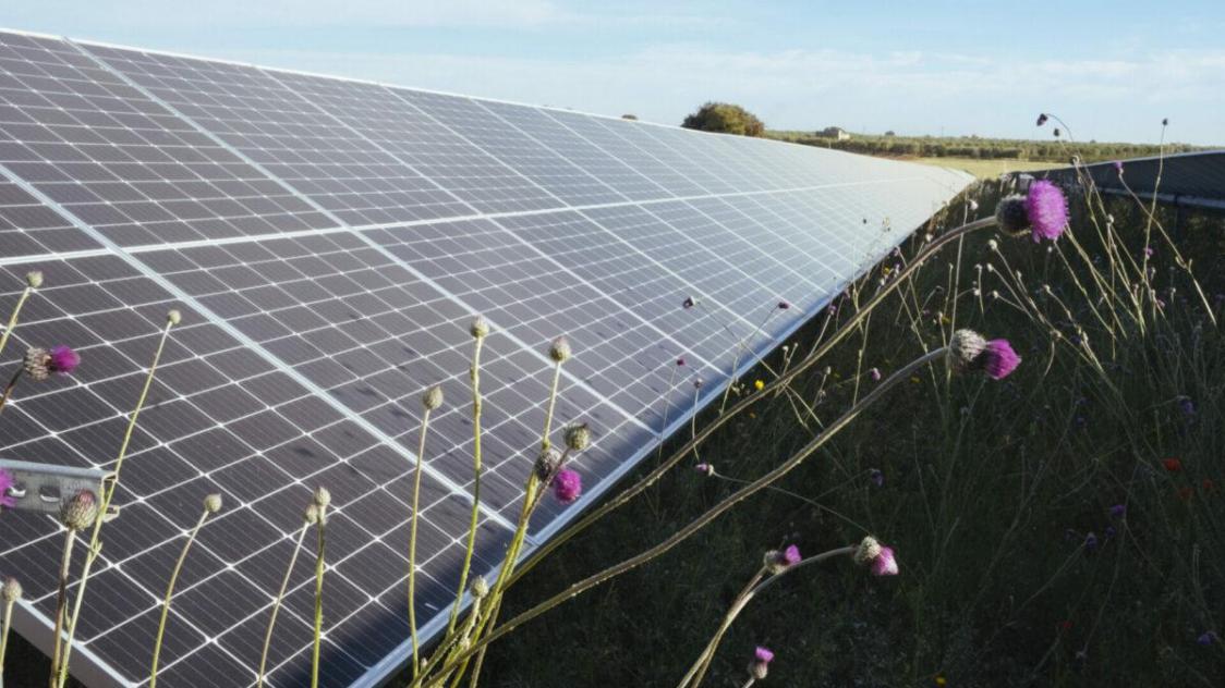 découvrez les panneaux solaires installés dans un champ, une solution écologique et durable pour produire de l'énergie. explorez les avantages de l'énergie solaire et son impact positif sur l'environnement.