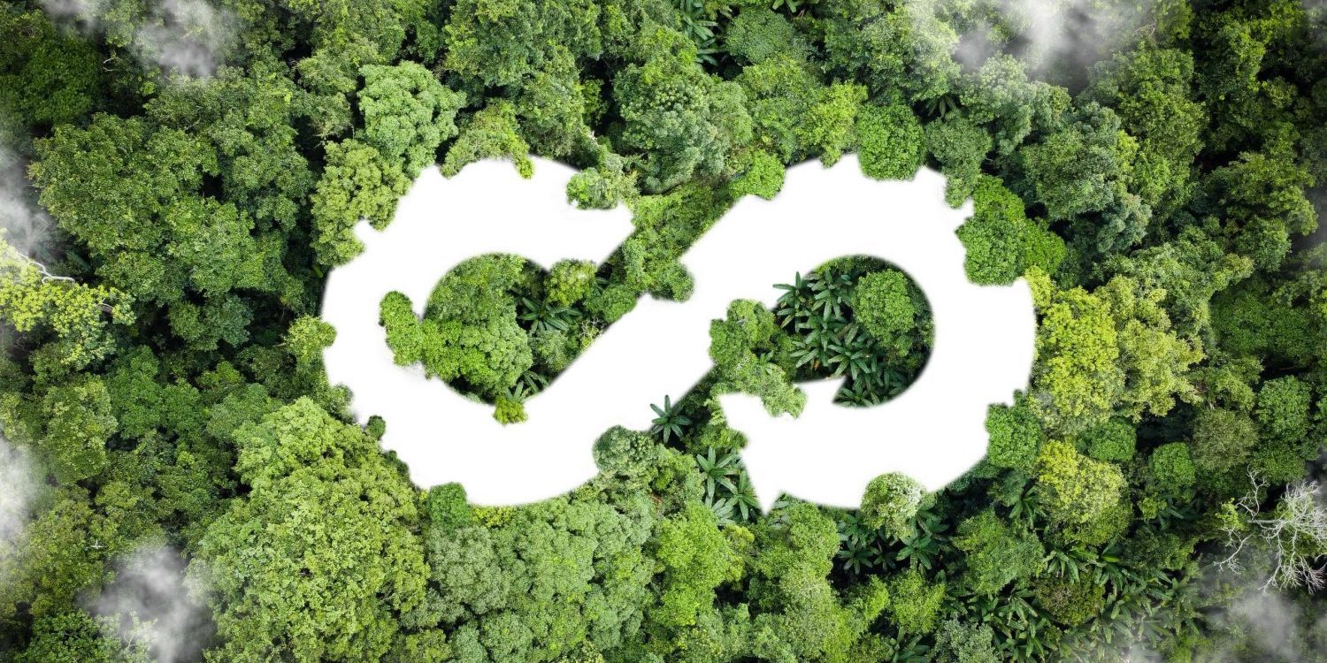 découvrez comment l'économie circulaire change notre façon de consommer et de produire en optimisant les ressources, réduisant les déchets et favorisant le développement durable pour un avenir meilleur.