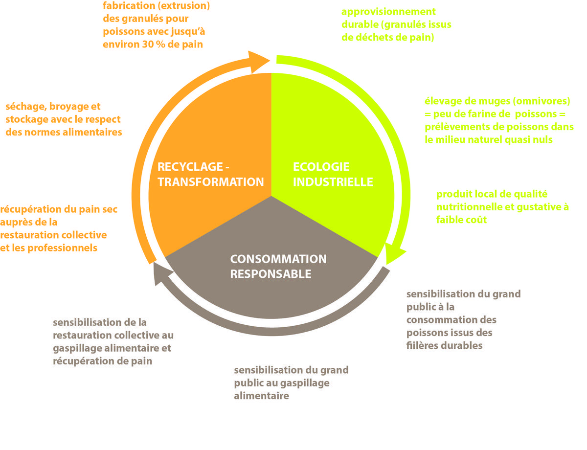 approvisionnement-local-et-economie-durable-1 L'importance de l'approvisionnement local pour une économie durable