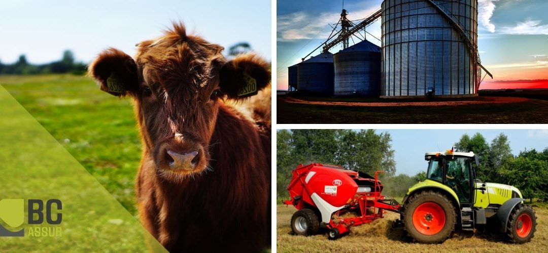 assurance-photovoltaique-agricole-4 Comprendre l'importance de l'assurance pour votre installation photovoltaïque agricole