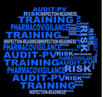 audit-pv-paca audit installation photovoltaique paca