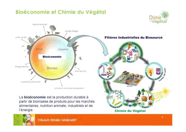 biomasse-durable-pour-lenergie-1 La biomasse : une solution durable pour l'énergie de demain
