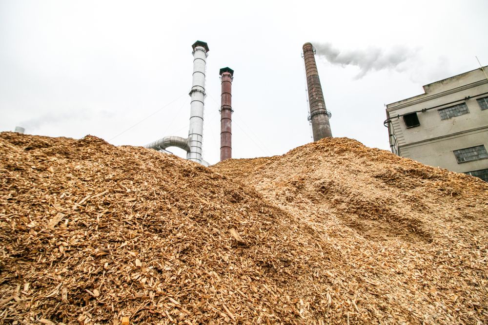 biomasse-durable-pour-lenergie-1 La biomasse : une solution durable pour l'énergie de demain