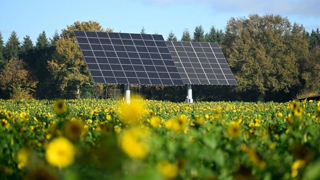 boom-solaire-en-france-1 Etat des lieux de l'énergie solaire en France : enfin le boom