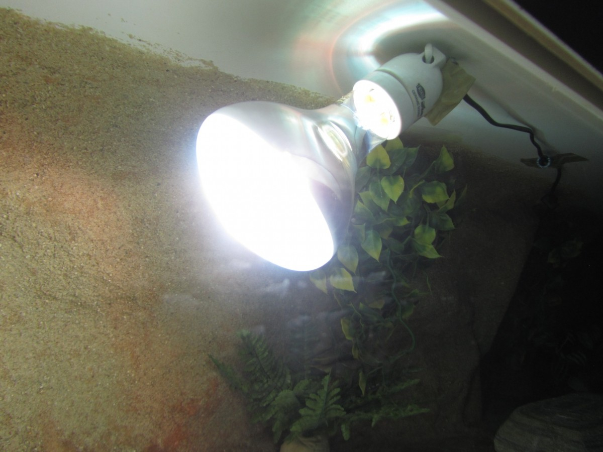 comparatif-terrasolar Comparatif des solutions TerraSolar : avantages et inconvénients