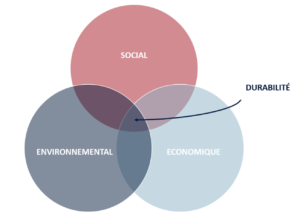 durabilite-systeme Vers une durabilité du système : enjeux et solutions