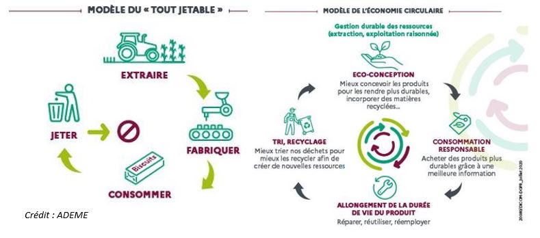 economie-circulaire-durable-1 L'économie circulaire : un modèle durable pour les entreprises