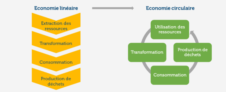 economie-de-consommation L'économie de consommation : enjeux et perspectives pour les entreprises