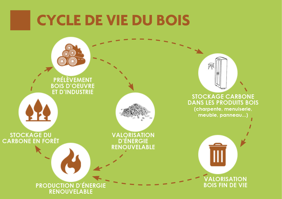 energie-propre-et-mode-de-vie-2 Découvrez comment l'énergie propre va révolutionner votre mode de vie !
