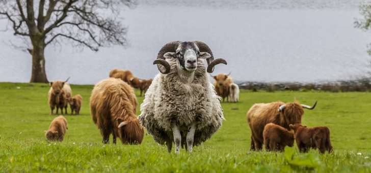 fonctionnalites-naturama-3 Comparatif des meilleures fonctionnalités de Naturama