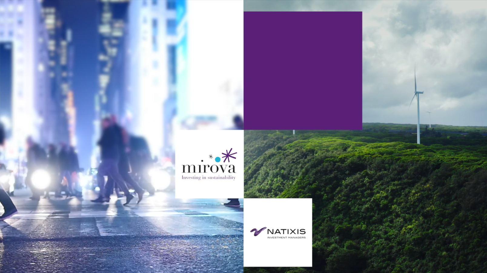 greenvision-durable-1 Comparatif des solutions Greenvision pour un avenir durable