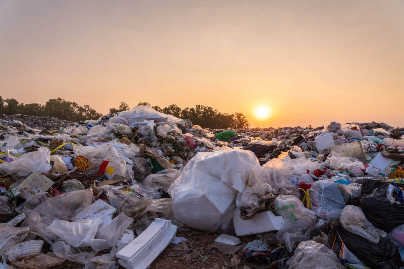 impact-dechets-plastiques L'impact environnemental des déchets plastiques