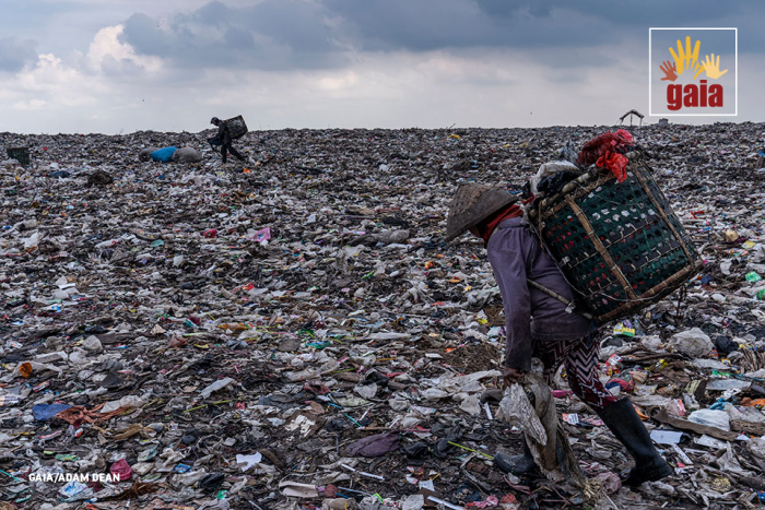 impact-dechets-plastiques L'impact environnemental des déchets plastiques