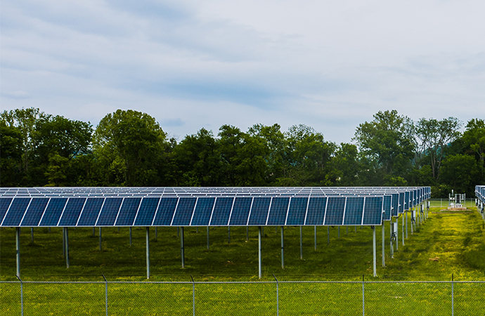impact-energie-solaire-biodiversite-1 Les incroyables conséquences de l'énergie solaire sur notre biodiversité révélées !