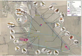 impact-installation-photovoltaique Comment acis installation photovoltaïque photen peut transformer votre consommation d'énergie