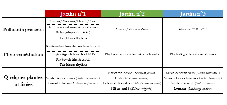 importancedespanneauxsolaires-1 Découvrez pourquoi votre entreprise ne peut plus ignorer les panneaux solaires !