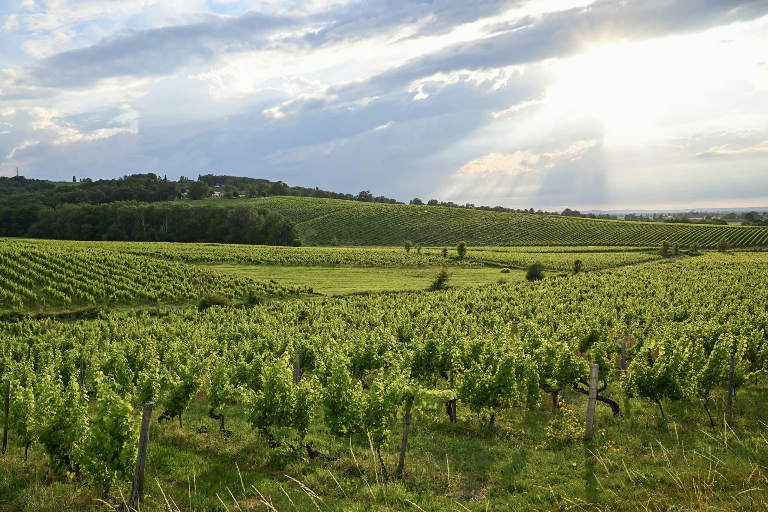 installateurs-photovoltaiques-aquitaine installateur photovoltaïques aquitaine