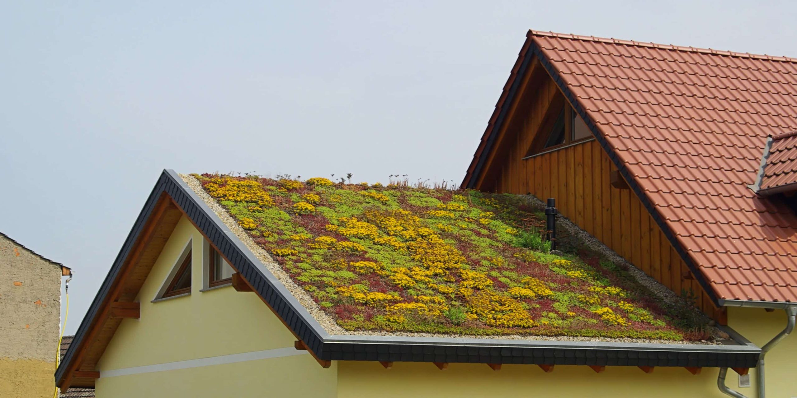 maisons-vertes-comparatives-1-scaled Comparatif des meilleures maisons vertes pour un habitat durable