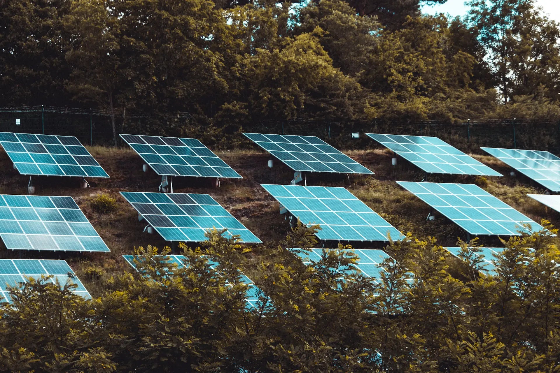 oscaro-power-solution-solaire-1 Oscaro Power : la solution idéale pour panneaux et kits solaires