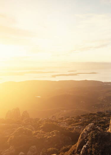 découvrez notre collection de photos captivantes qui immortalisent des moments uniques et inspirants. explorez des paysages, des portraits et bien plus encore, qui éveilleront vos émotions et stimuleront votre créativité.