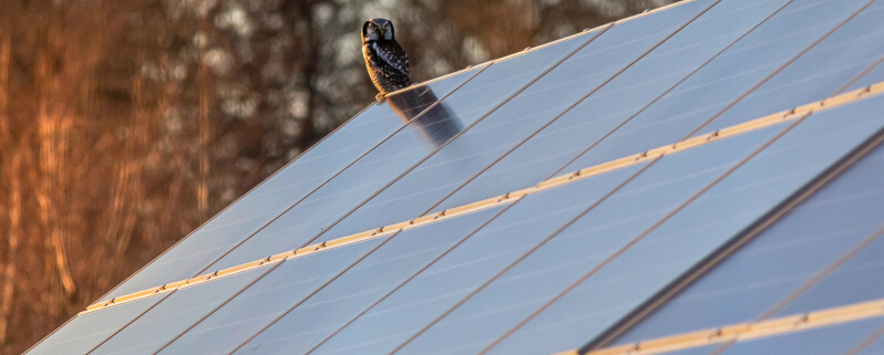 panneau-solaire-succes-2 Découvrez comment ce simple panneau solaire a transformé une entreprise en succès éclatant !