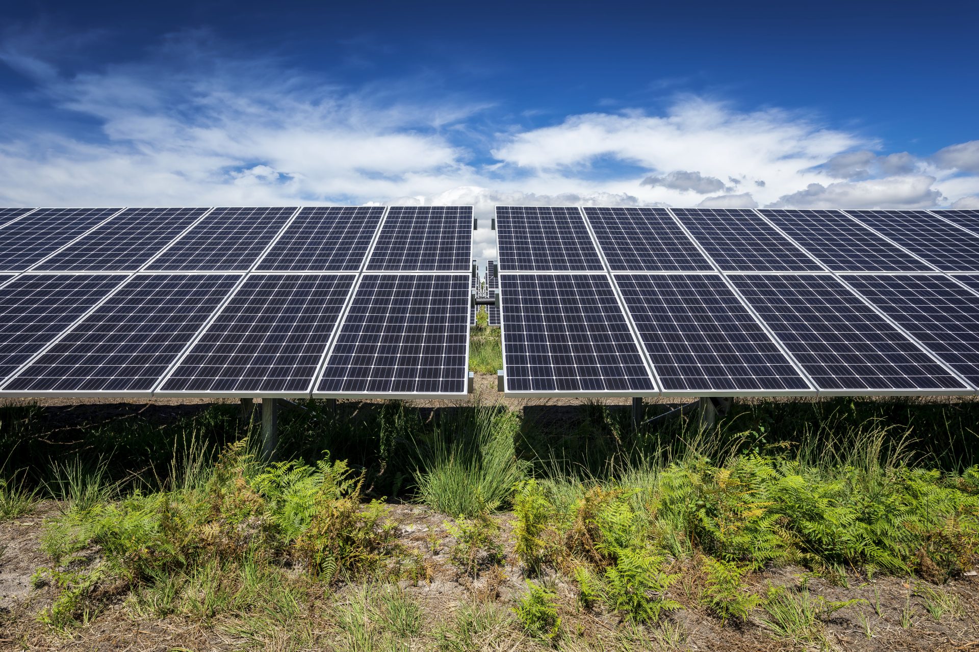 panneaux-photovoltaiques-en-nouvelle-aquitaine-1 Découvrez comment les panneaux photovoltaïques transforment la Nouvelle-Aquitaine en eldorado énergétique