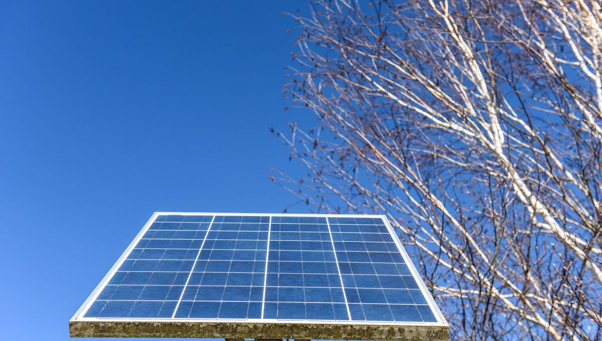 découvrez comment l'achat de panneaux solaires peut réduire vos factures d'énergie et contribuer à un avenir durable. informez-vous sur les différents types de panneaux, les subventions disponibles et les avantages écologiques.