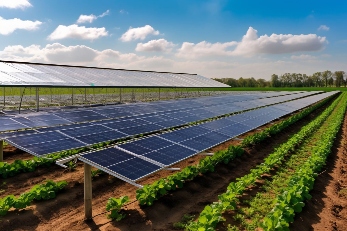 panneaux-solaires-agricoles-4 Découvrez comment les panneaux solaires agricoles changent la donne pour les agriculteurs !