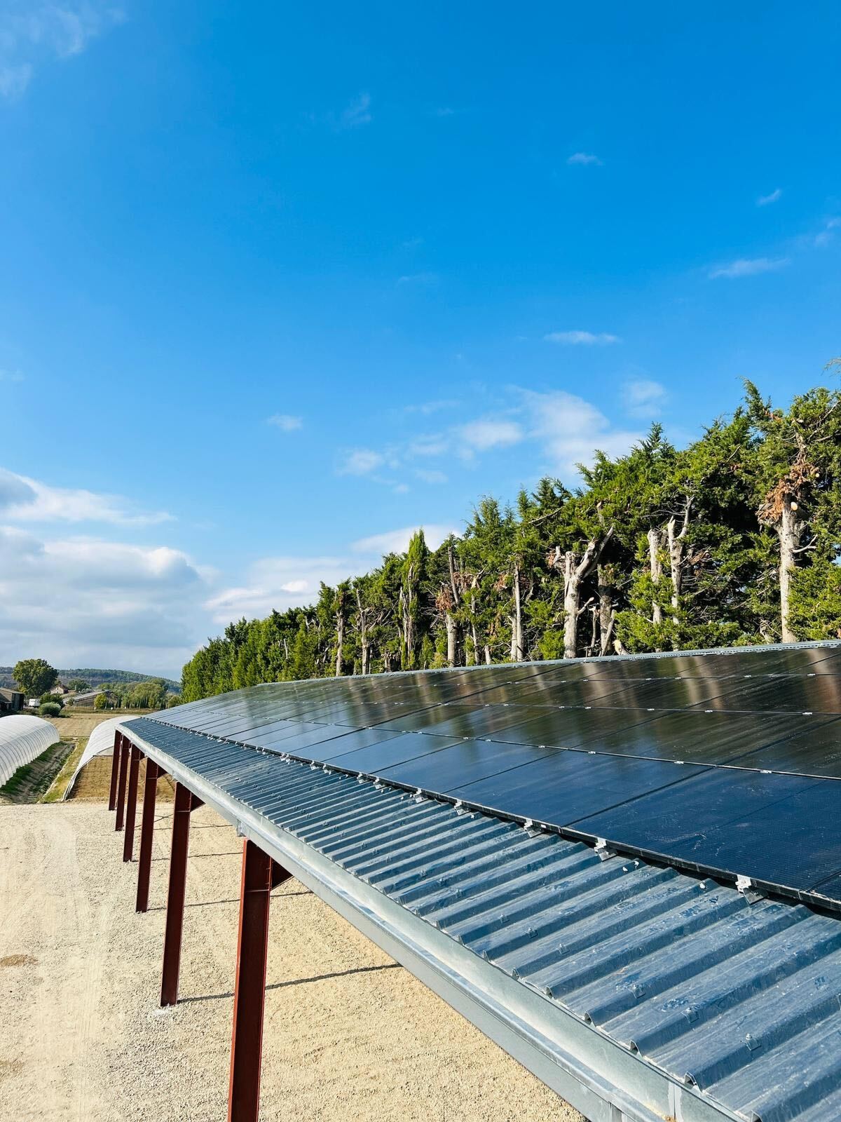 panneaux-solaires-agriculture-1 Découvrez comment les panneaux solaires sur les hangars agricoles transforment l'agriculture !