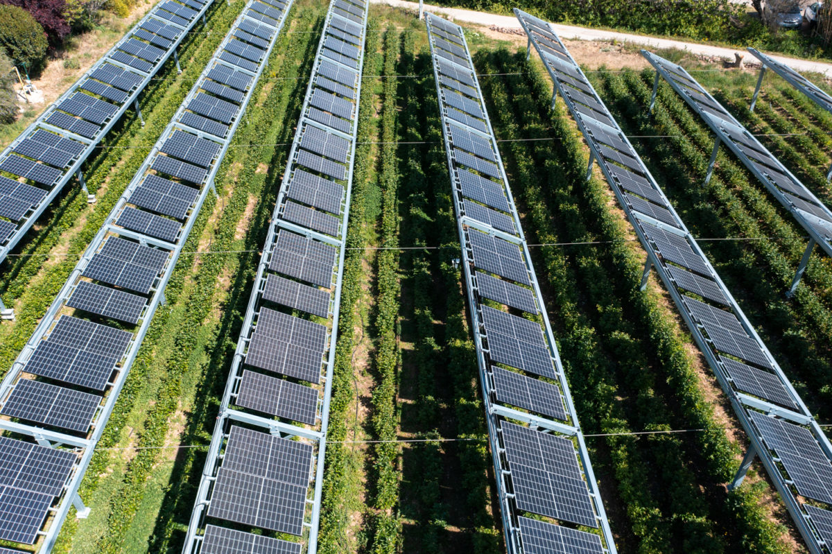 performance-et-durabilite-terrasola-2 Comparatif des technologies TerraSola : performance et durabilité