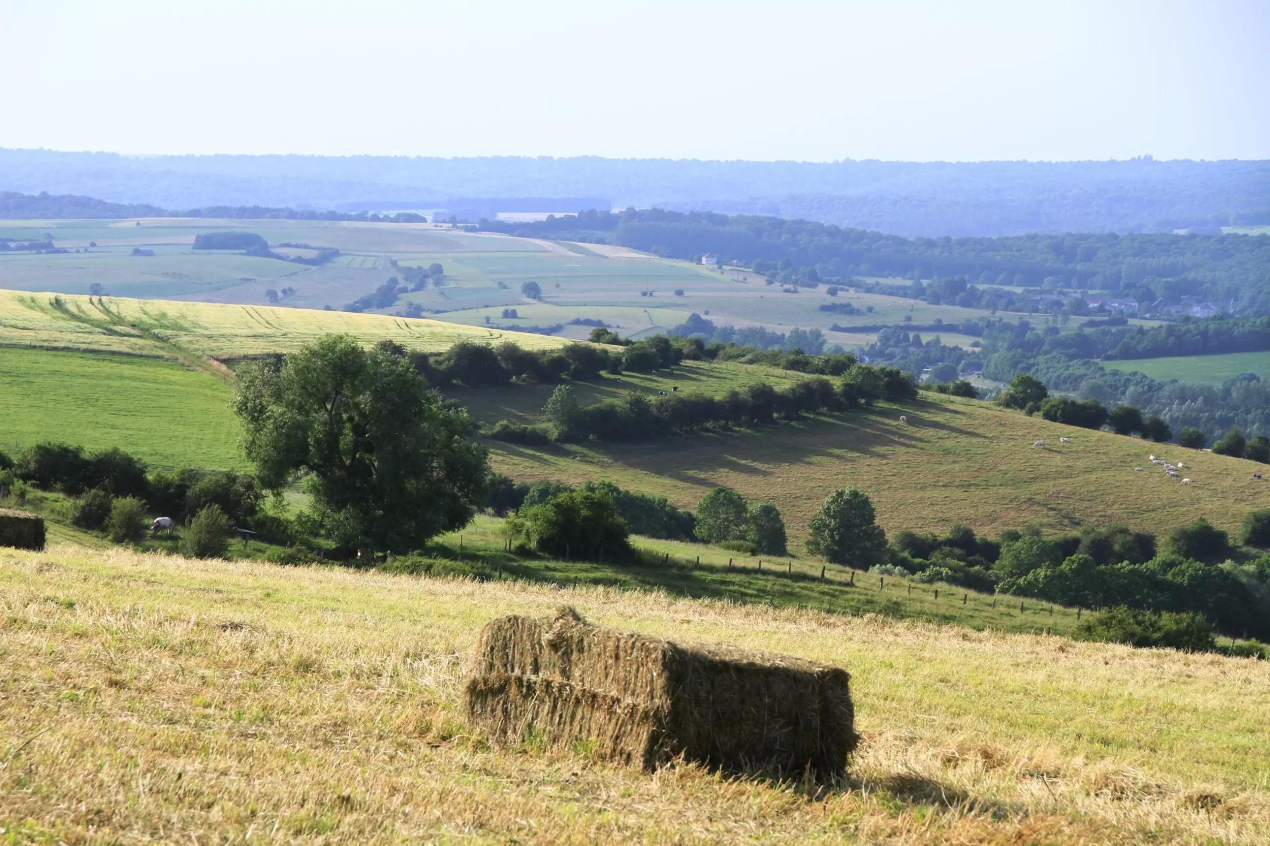 performance-et-durabilite-terrasola-scaled Comparatif des technologies TerraSola : performance et durabilité