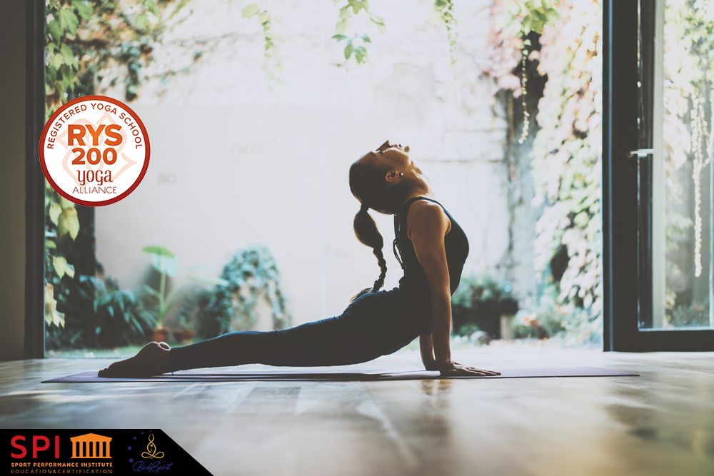 performances-de-spi-energy-1 Comparatif des performances de SPI Energy sur le marché de l'énergie