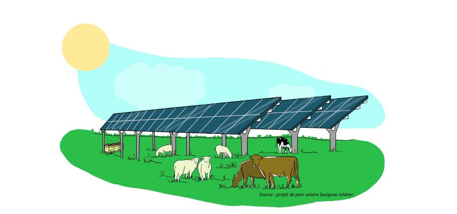 performances-de-volta-en-energie-1 Comparatif des performances de Volta dans le secteur énergétique
