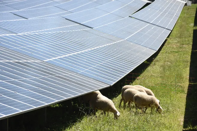 photovoltaique-haute-vienne-1 Installation photovoltaïque en Haute-Vienne : boostez votre indépendance énergétique