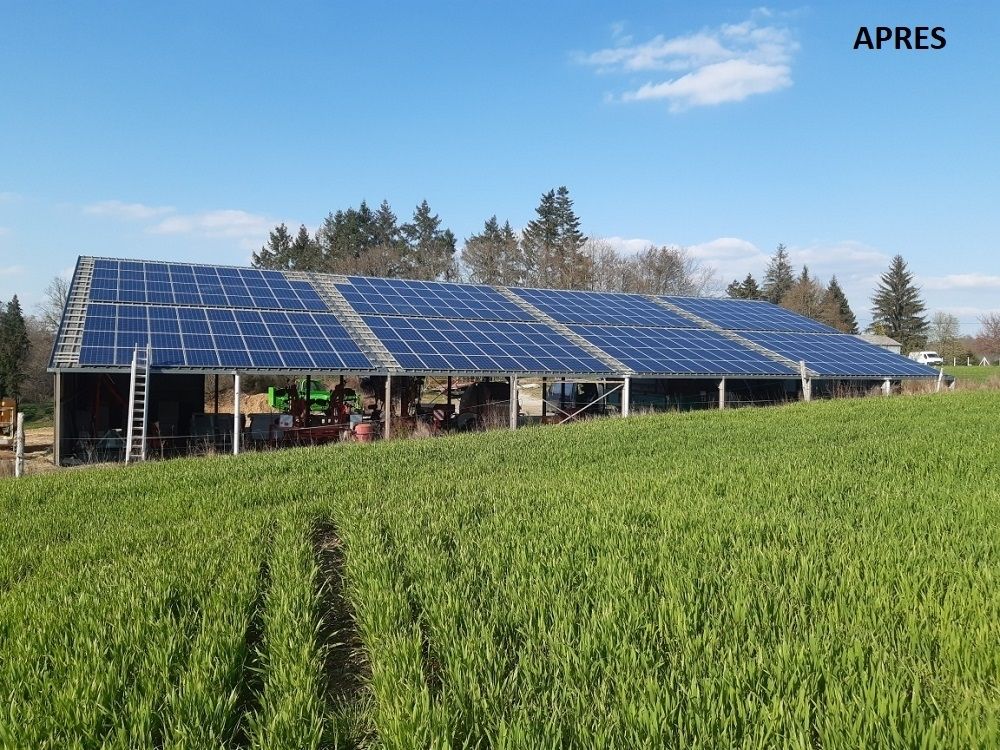 photovoltaique-haute-vienne Installation photovoltaïque en Haute-Vienne : boostez votre indépendance énergétique